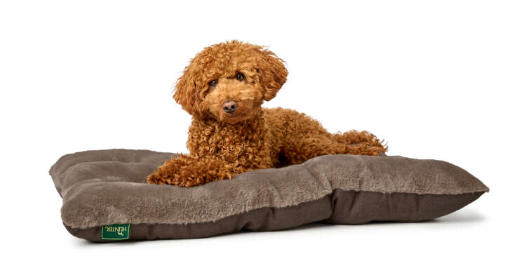 HUNTER Hundebett Rockford